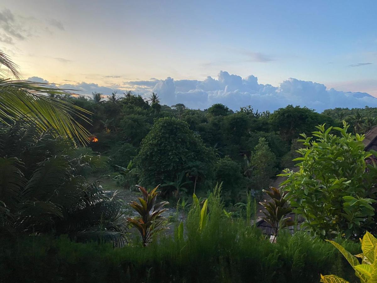 The Pancor Jungle Resort Ped Εξωτερικό φωτογραφία
